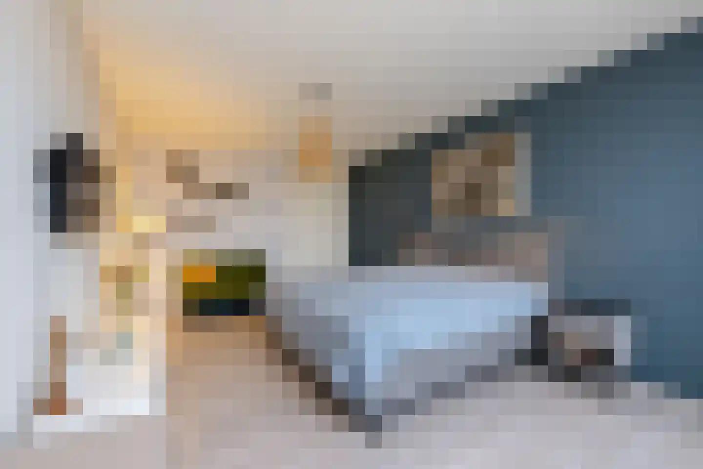 De Kranshof 132 Tiel thumbnail 40
