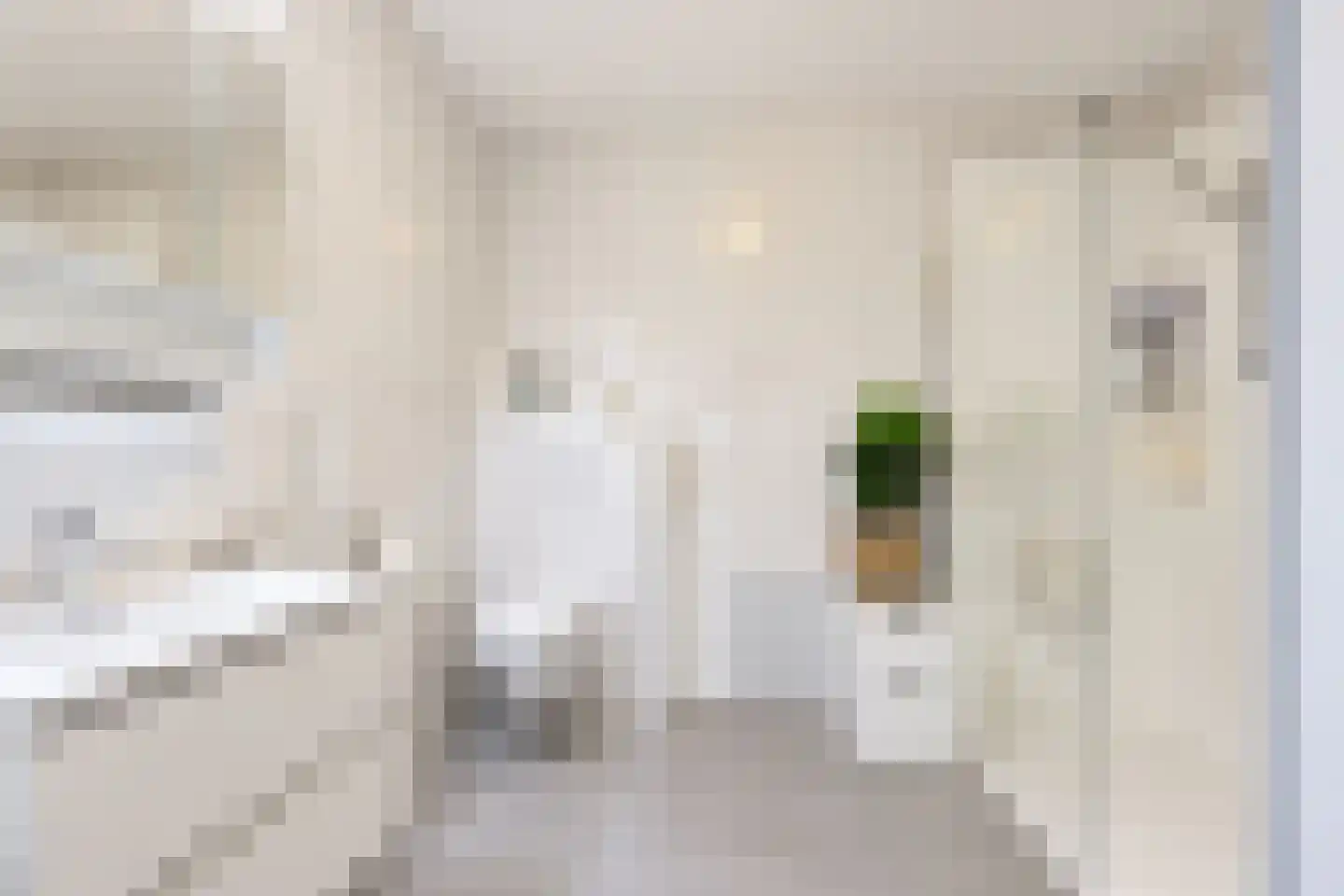 De Kranshof 132 Tiel thumbnail 43