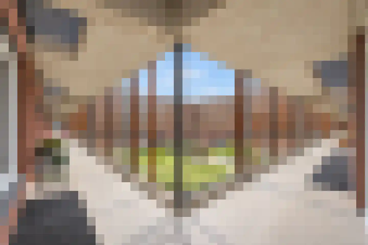 De Kranshof 132 Tiel thumbnail 46