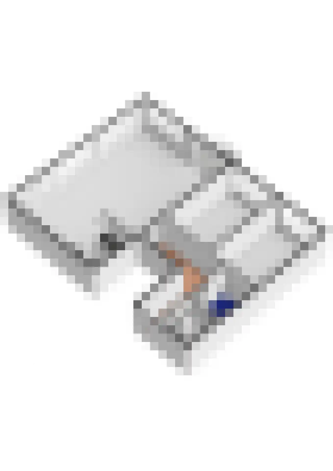 De Kranshof 132 Tiel thumbnail 61