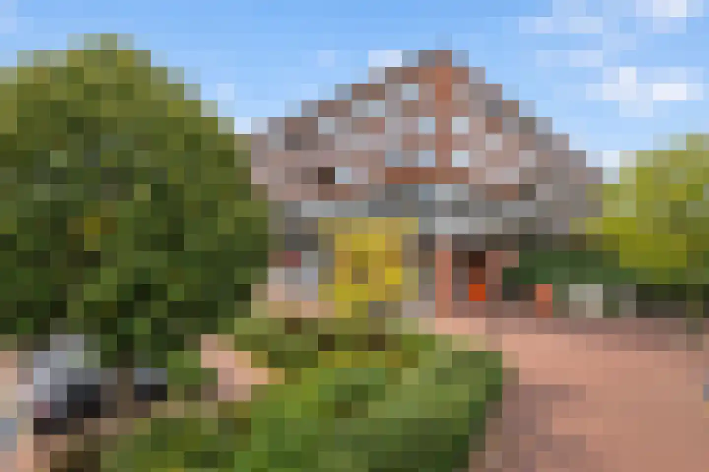 De Kranshof 132 Tiel thumbnail 9