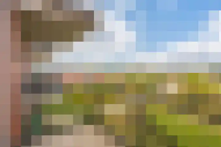 De Kranshof 136 Tiel thumbnail 13