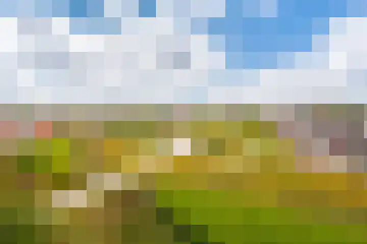 De Kranshof 136 Tiel thumbnail 15