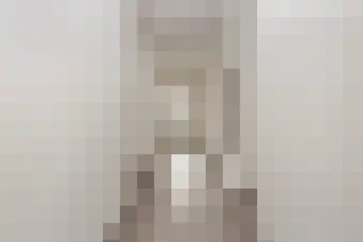 De Kranshof 136 Tiel thumbnail 16