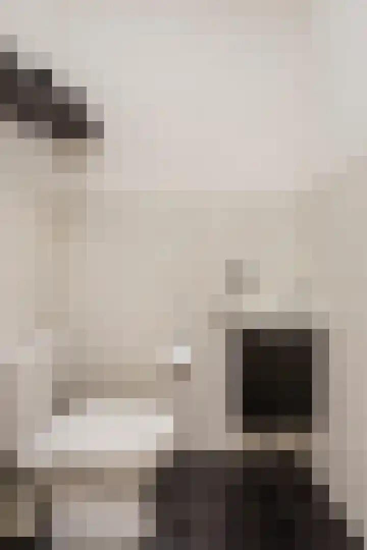 De Kranshof 136 Tiel thumbnail 17