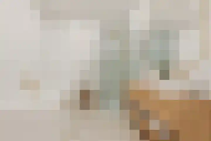 De Kranshof 136 Tiel thumbnail 24