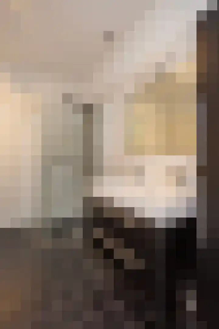 De Kranshof 136 Tiel thumbnail 25