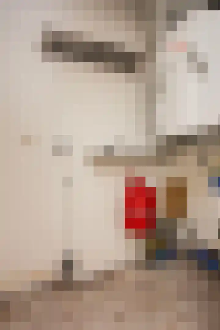 De Kranshof 136 Tiel thumbnail 27