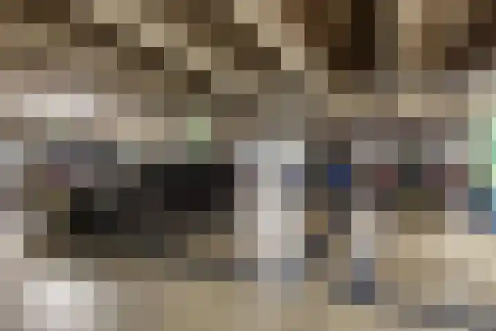 De Kranshof 136 Tiel thumbnail 29