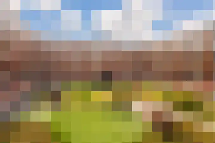 De Kranshof 136 Tiel thumbnail 30
