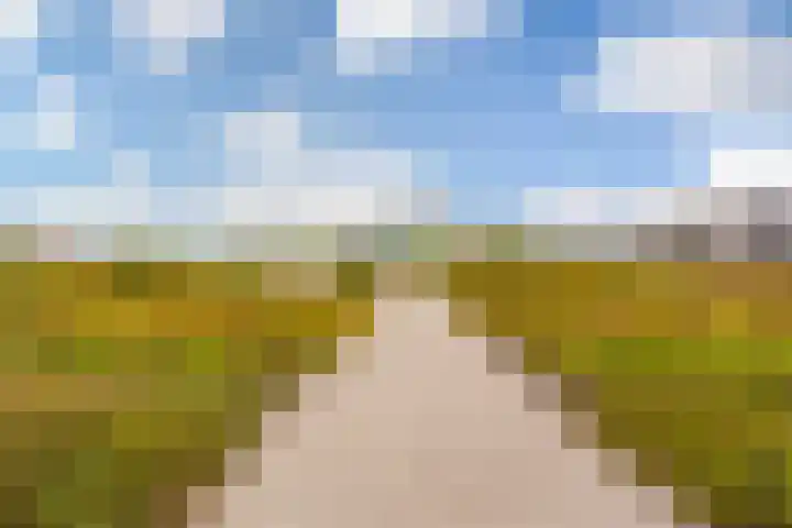 De Kranshof 136 Tiel thumbnail 31