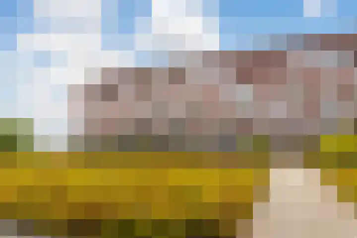 De Kranshof 136 Tiel thumbnail 39