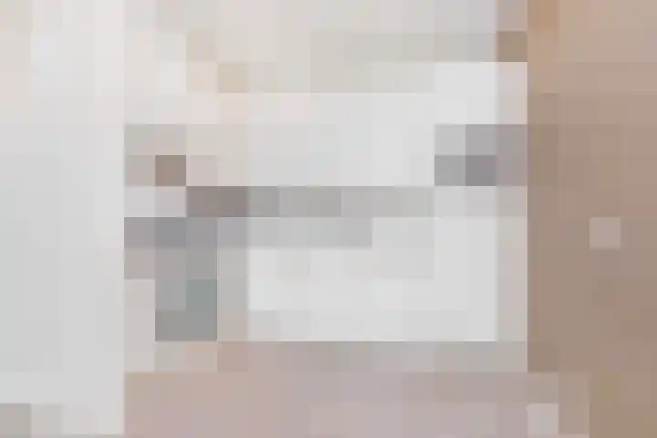 De Kranshof 152 Tiel thumbnail 11