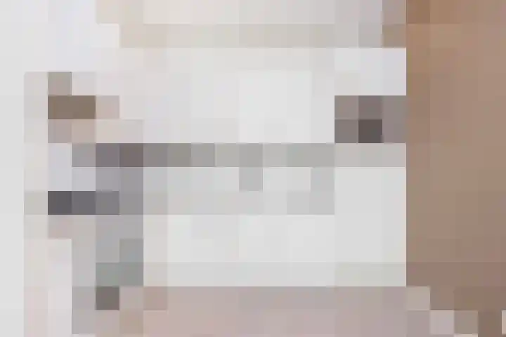 De Kranshof 152 Tiel thumbnail 12