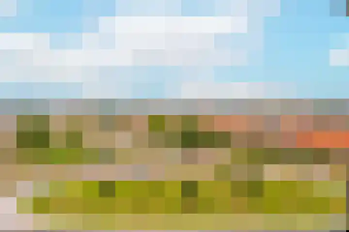 De Kranshof 152 Tiel thumbnail 15