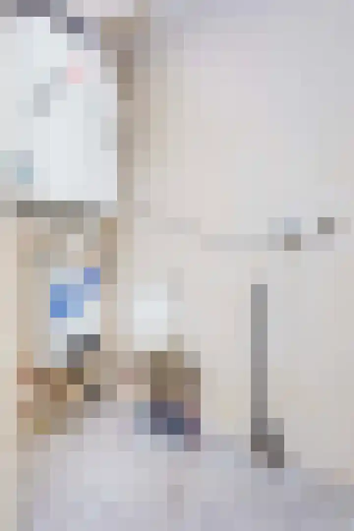 De Kranshof 152 Tiel thumbnail 17