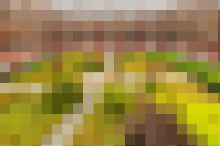 De Kranshof 152 Tiel thumbnail 30
