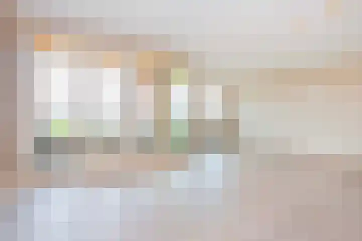 De Kranshof 152 Tiel thumbnail 9
