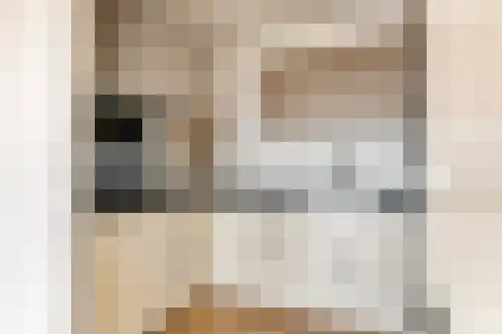 De Kranshof 198 Tiel thumbnail 12