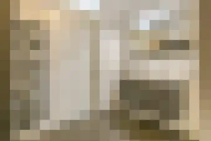 De Kranshof 198 Tiel thumbnail 18