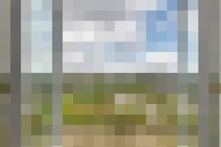 De Kranshof 198 Tiel thumbnail 21