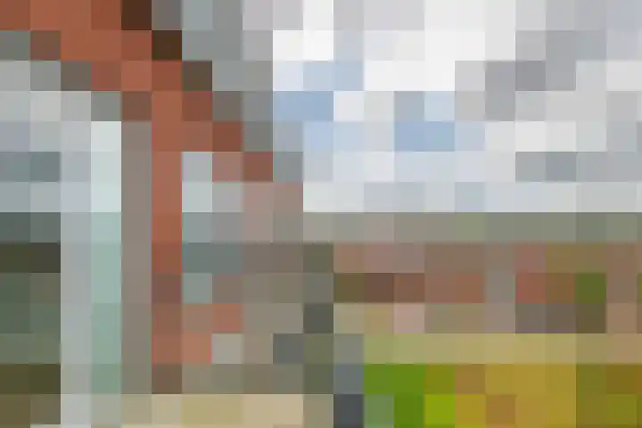 De Kranshof 198 Tiel thumbnail 22