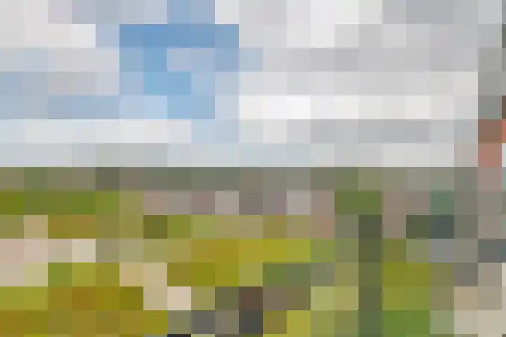 De Kranshof 198 Tiel thumbnail 23