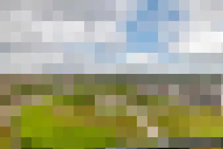 De Kranshof 198 Tiel thumbnail 24