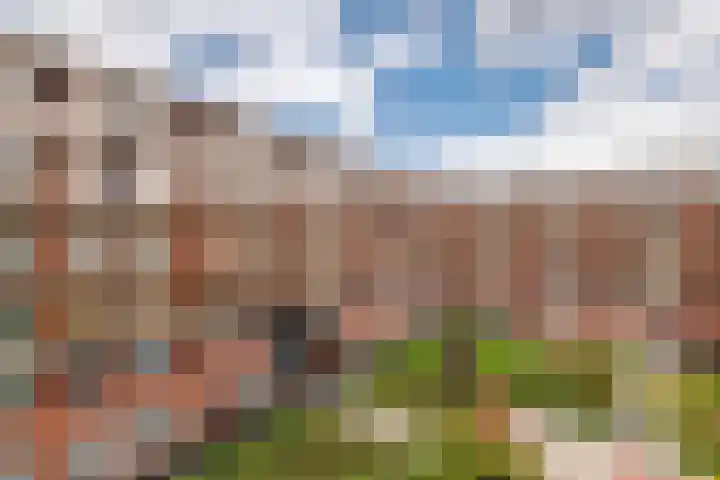 De Kranshof 198 Tiel thumbnail 26