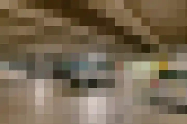 De Kranshof 198 Tiel thumbnail 27