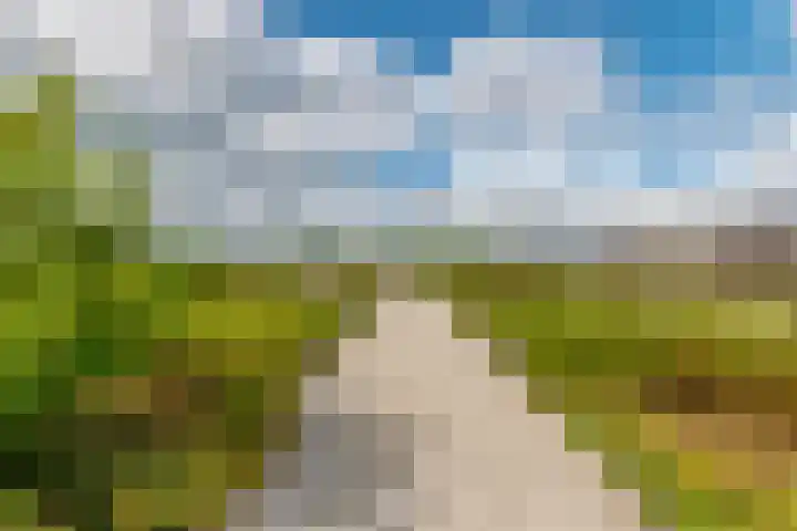 De Kranshof 198 Tiel thumbnail 28