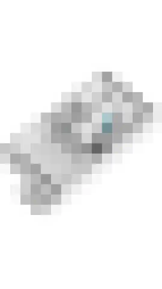 De Kranshof 198 Tiel thumbnail 31