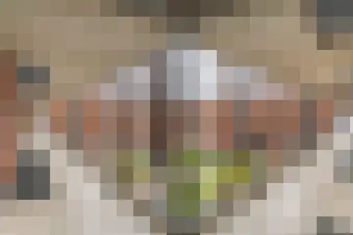 De Kranshof 198 Tiel thumbnail 4
