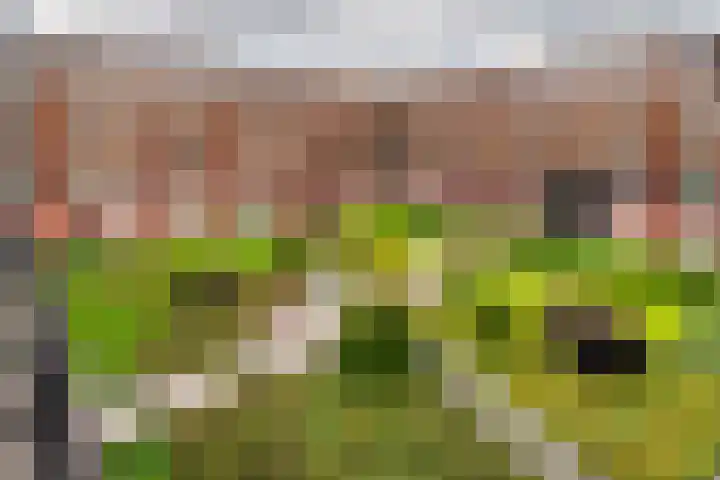 De Kranshof 198 Tiel thumbnail 5