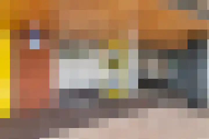 De Kranshof 198 Tiel thumbnail 6