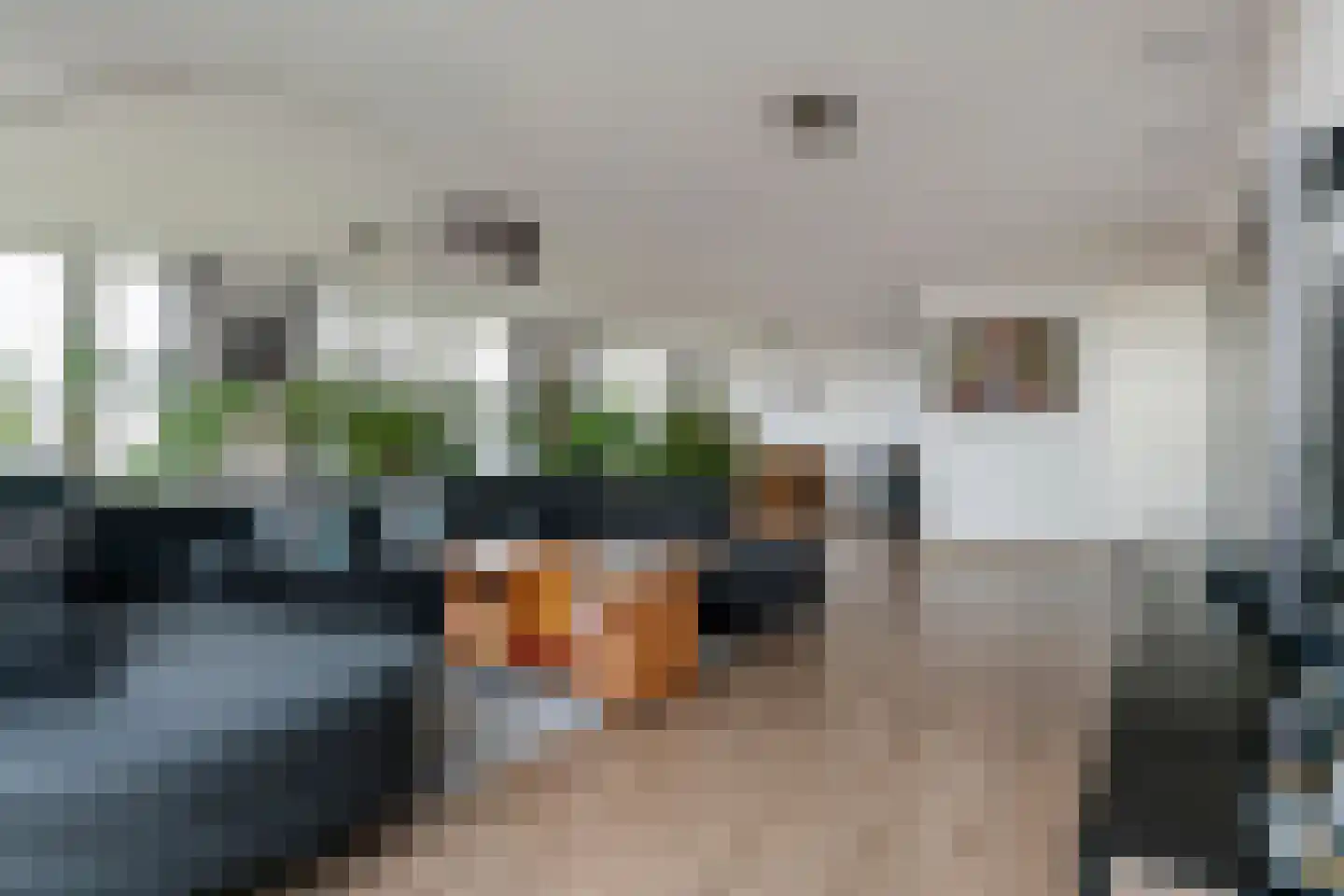 De Kranshof 202 Tiel thumbnail 17