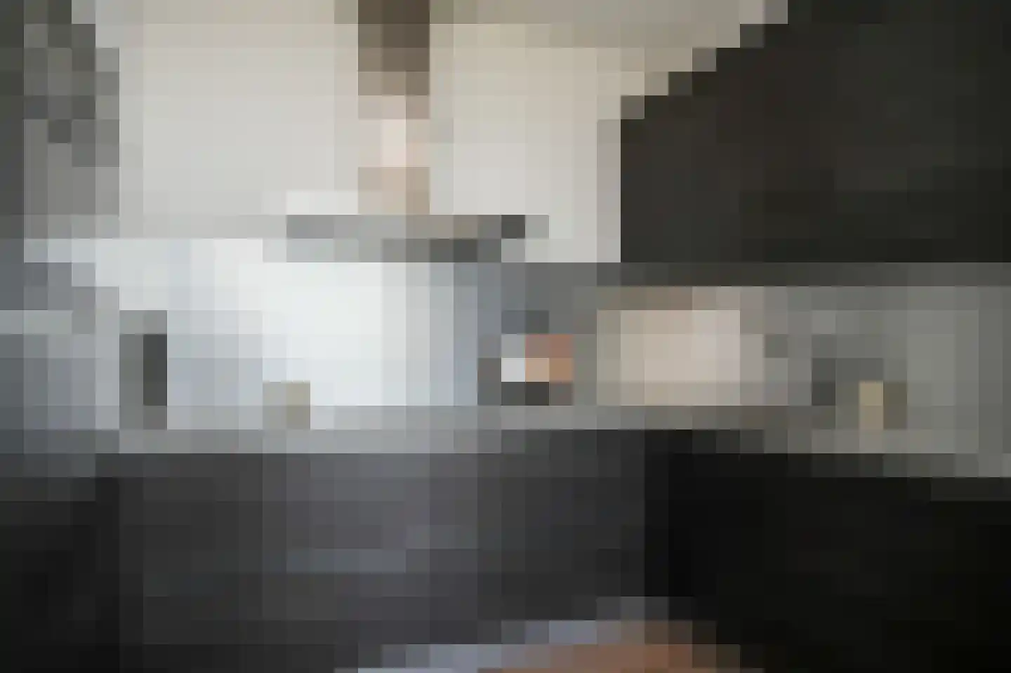 De Kranshof 202 Tiel thumbnail 19