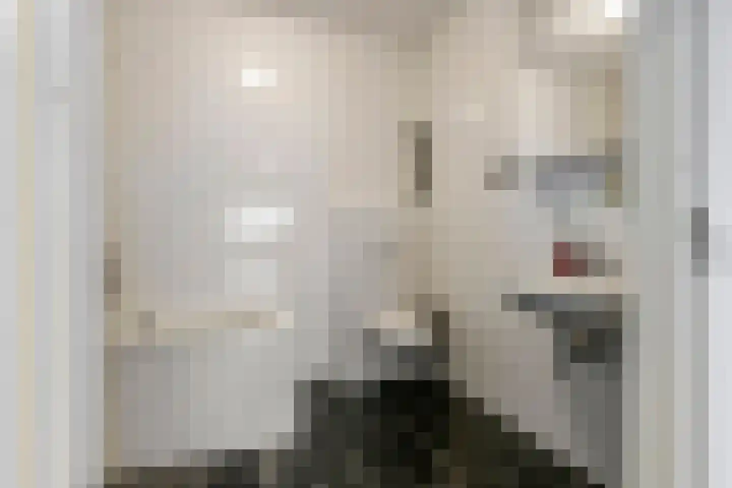 De Kranshof 202 Tiel thumbnail 32