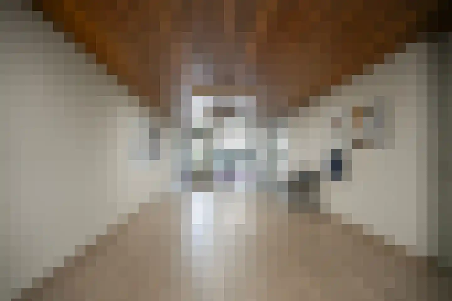 De Kranshof 202 Tiel thumbnail 32