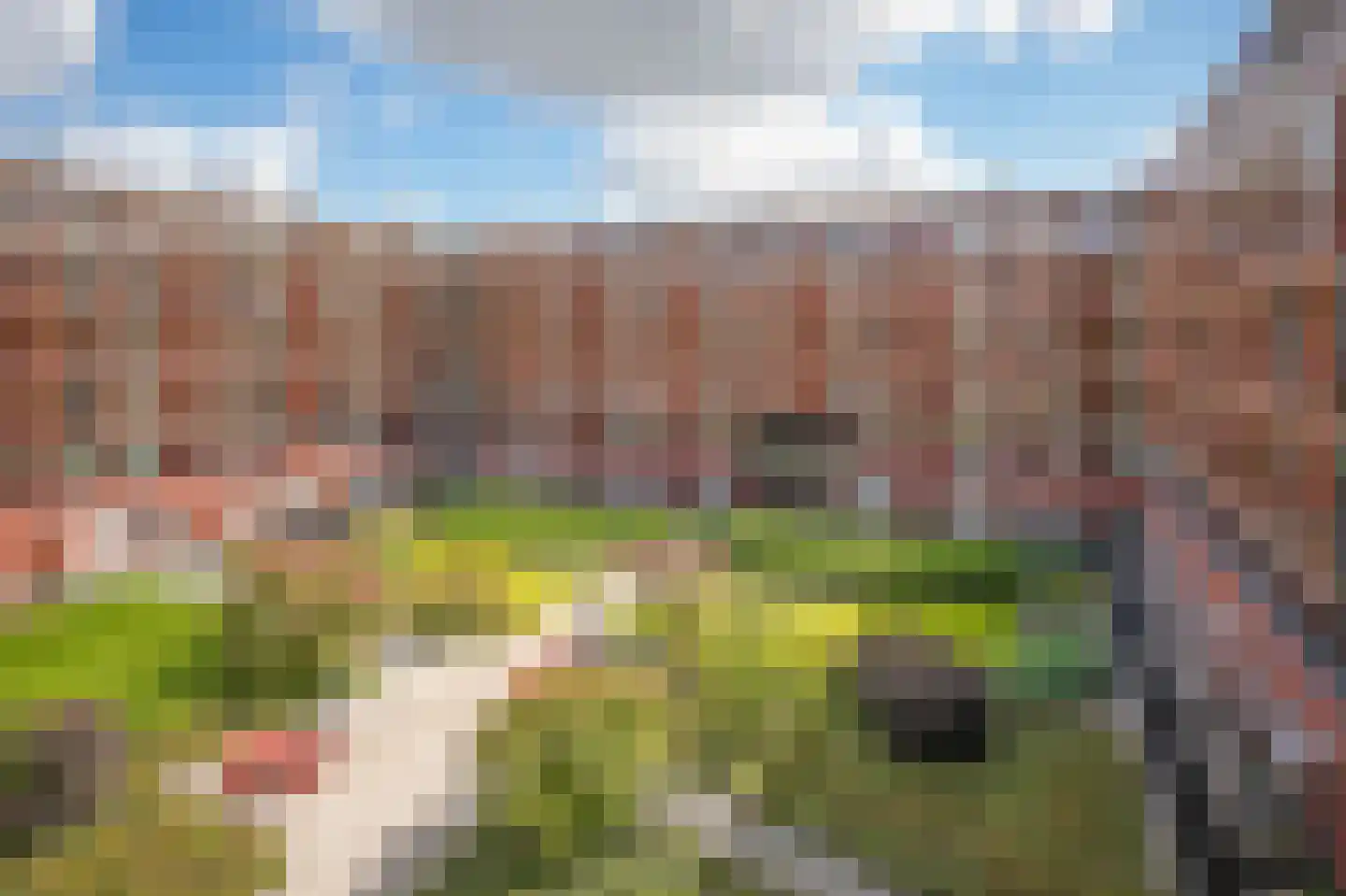 De Kranshof 202 Tiel thumbnail 34