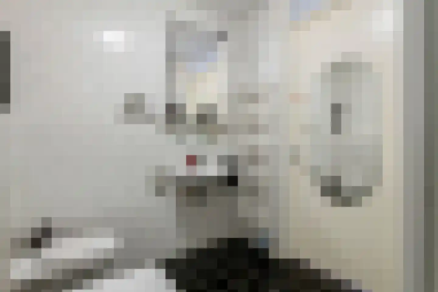 De Kranshof 202 Tiel thumbnail 34