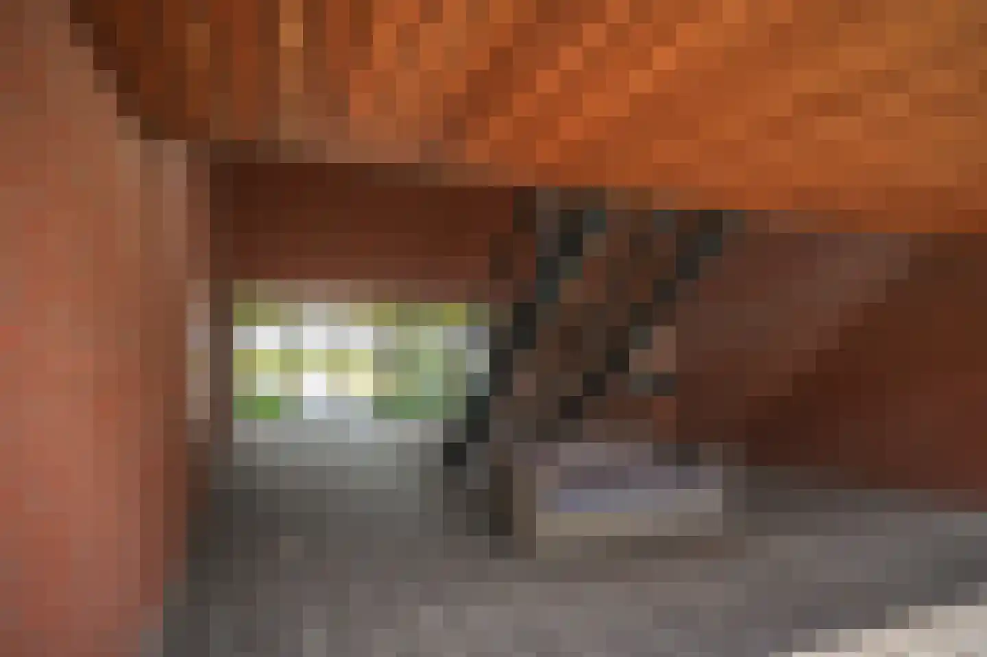 De Kranshof 202 Tiel thumbnail 37