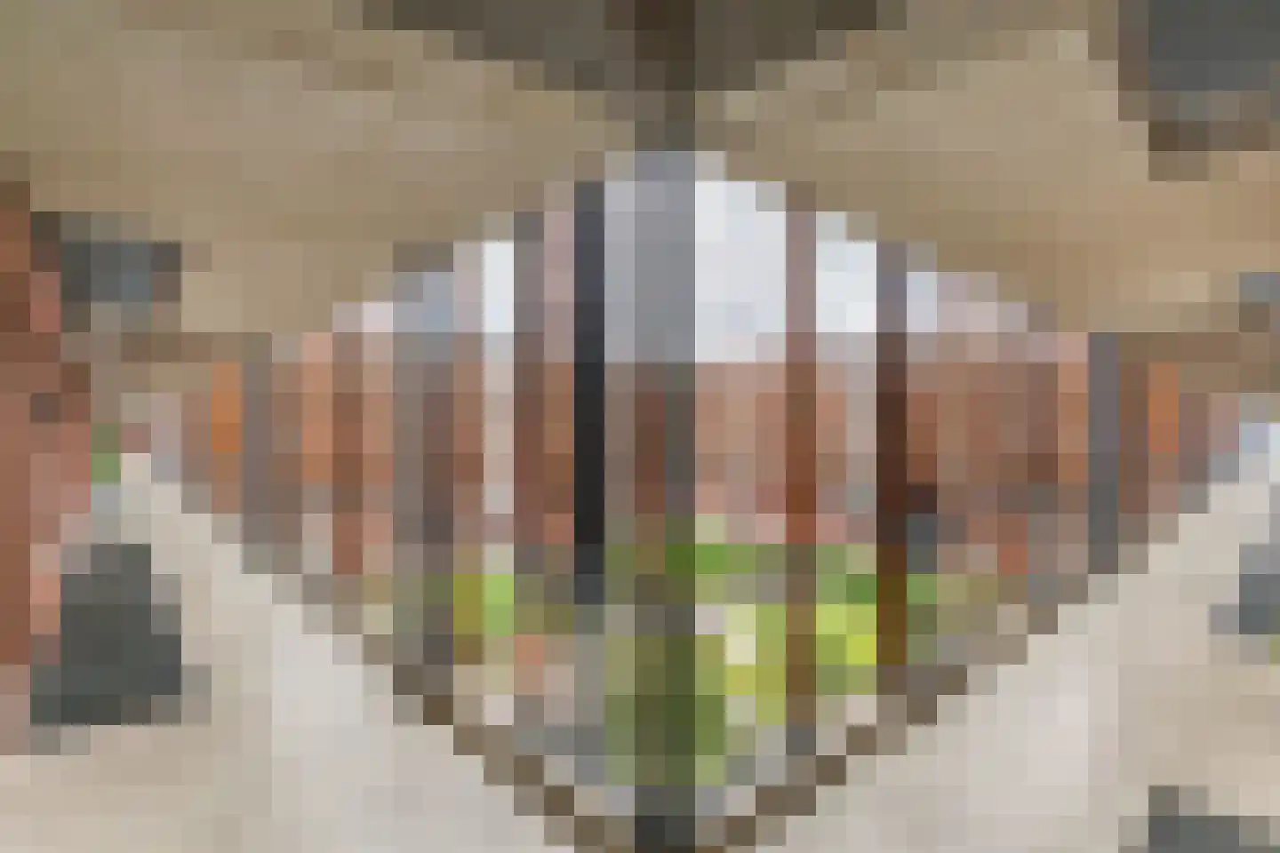 De Kranshof 202 Tiel thumbnail 6