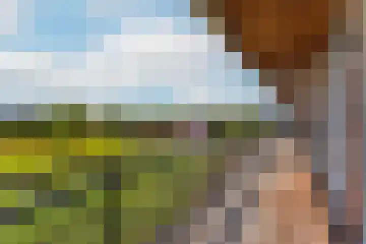 De Kranshof 6 Tiel thumbnail 13