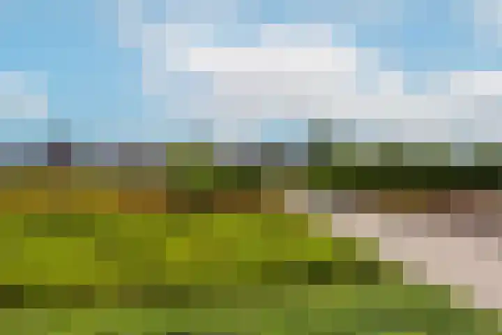 De Kranshof 6 Tiel thumbnail 15