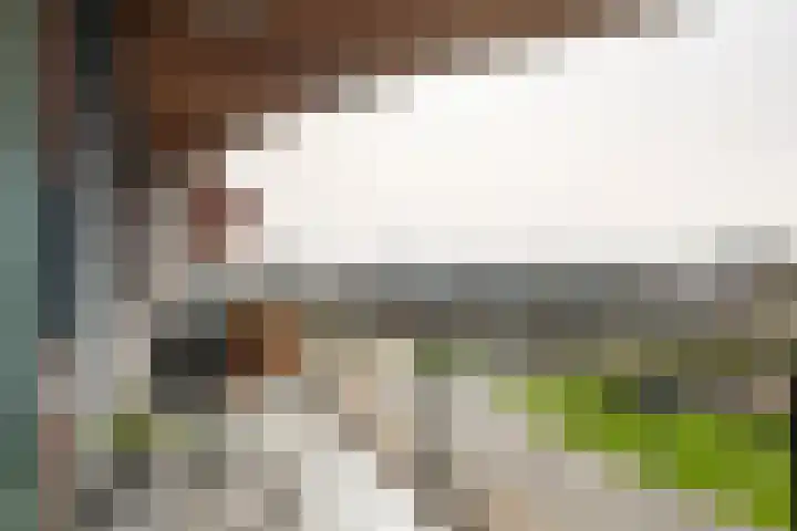 De Kranshof 94 Tiel thumbnail 23