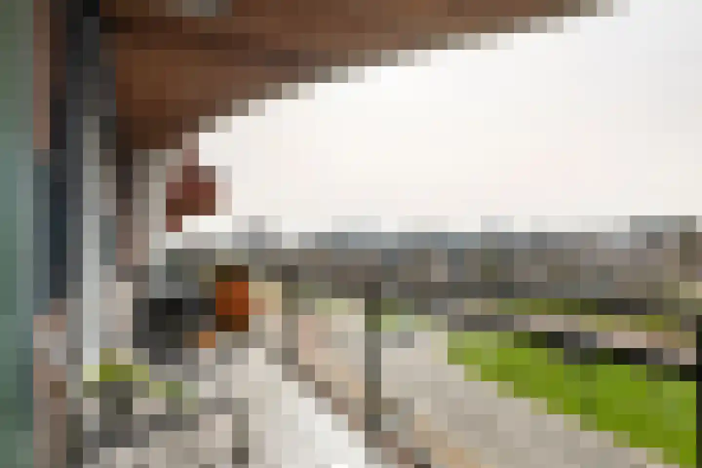 De Kranshof 94 Tiel thumbnail 23