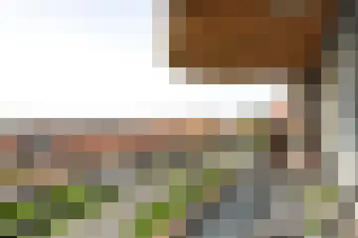 De Kranshof 94 Tiel thumbnail 24