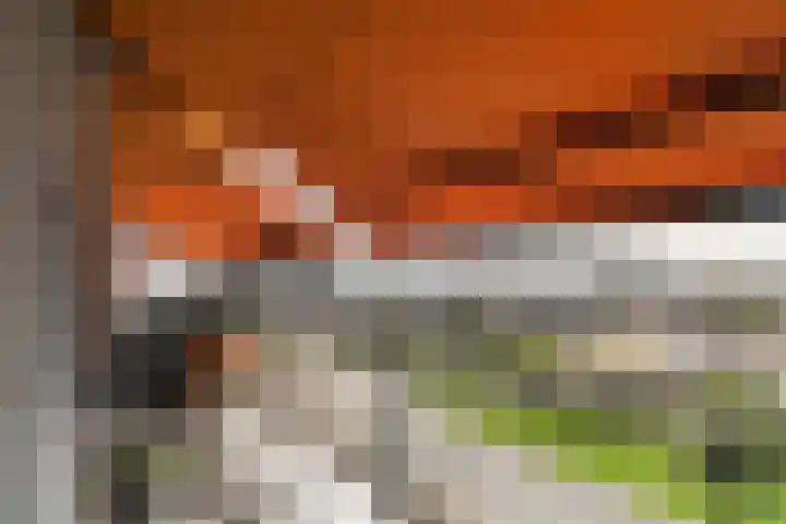 De Kranshof 94 Tiel thumbnail 25