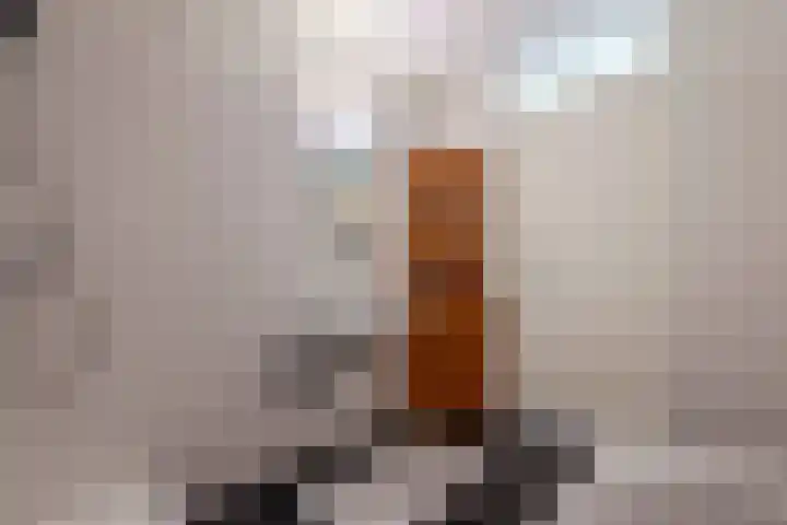 De Kranshof 94 Tiel thumbnail 35